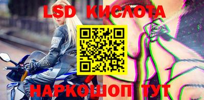 mdpv Гатчина