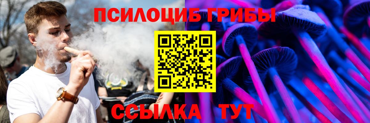 Балахна  Галлюциногенные грибы Psilocybine cubensis  что такое наркотик  Галлюциногенные грибы Psilocybe  Вход с VPN 